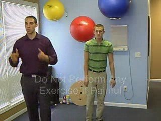 Edwardsville Chiropractor & Back Specialist: Back Exercis...