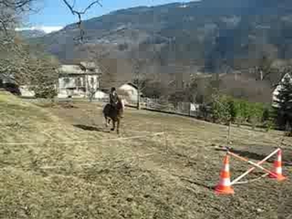 shogan/iankee