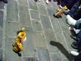 Girafe ou cheval ? x')