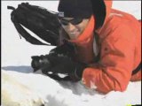Canadian Seal Hunt Kills Hundreds of Thousands of Baby Se...
