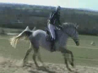 Rodez Cycle lible 2ème année CCE