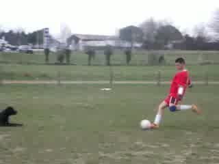 Tir arreter par fred