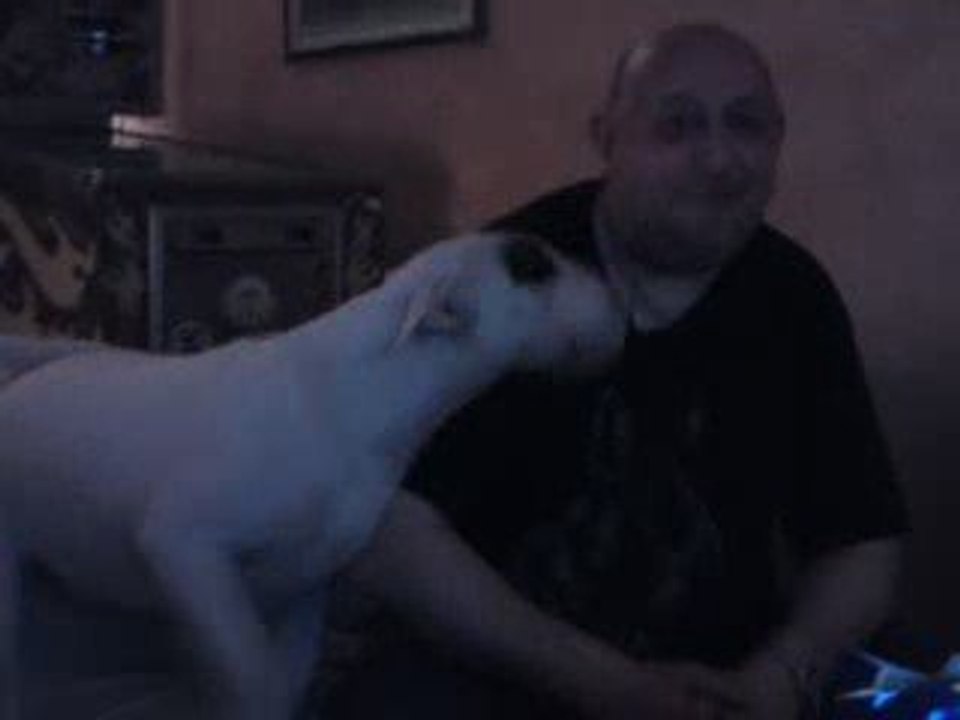 Darjee et Lulu