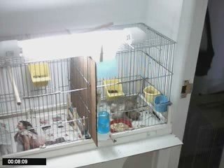 Comment changer le mâle