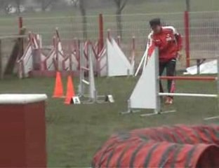 Dieuze 2009 - Les degrés