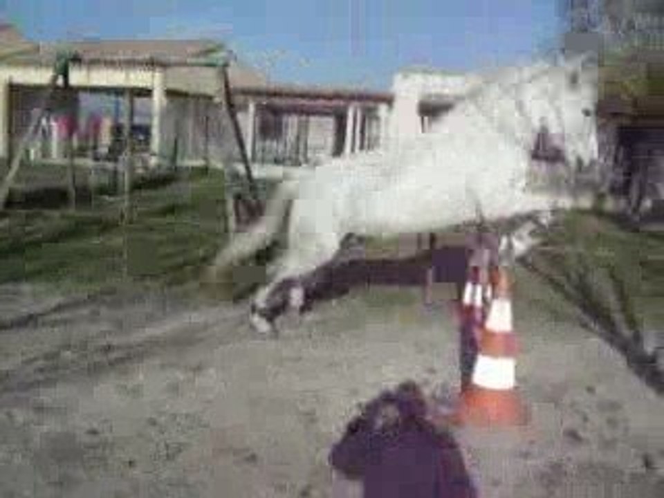 Lou et bouki cso 026