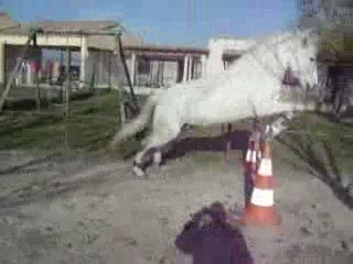 Lou et bouki cso 026