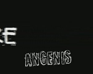 fête du lycée joubert 2009