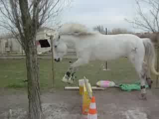 Lou et bouki cso 027