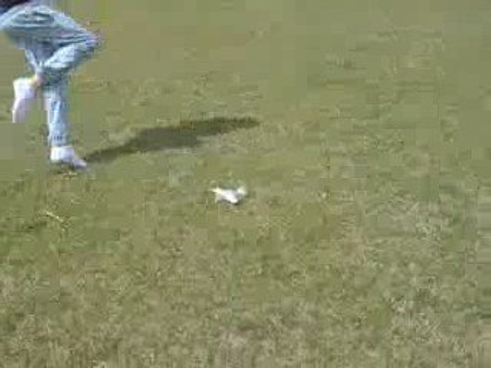 avion a reaction fusée ( petard)