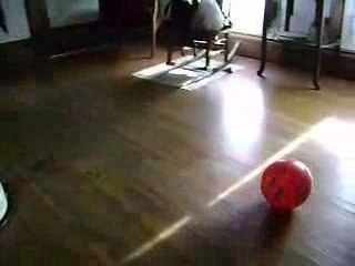 Fantomes joue o ballon