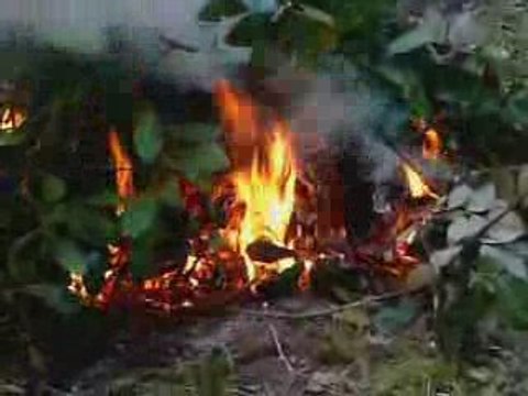 Christophe Willem sunny live avril 2007