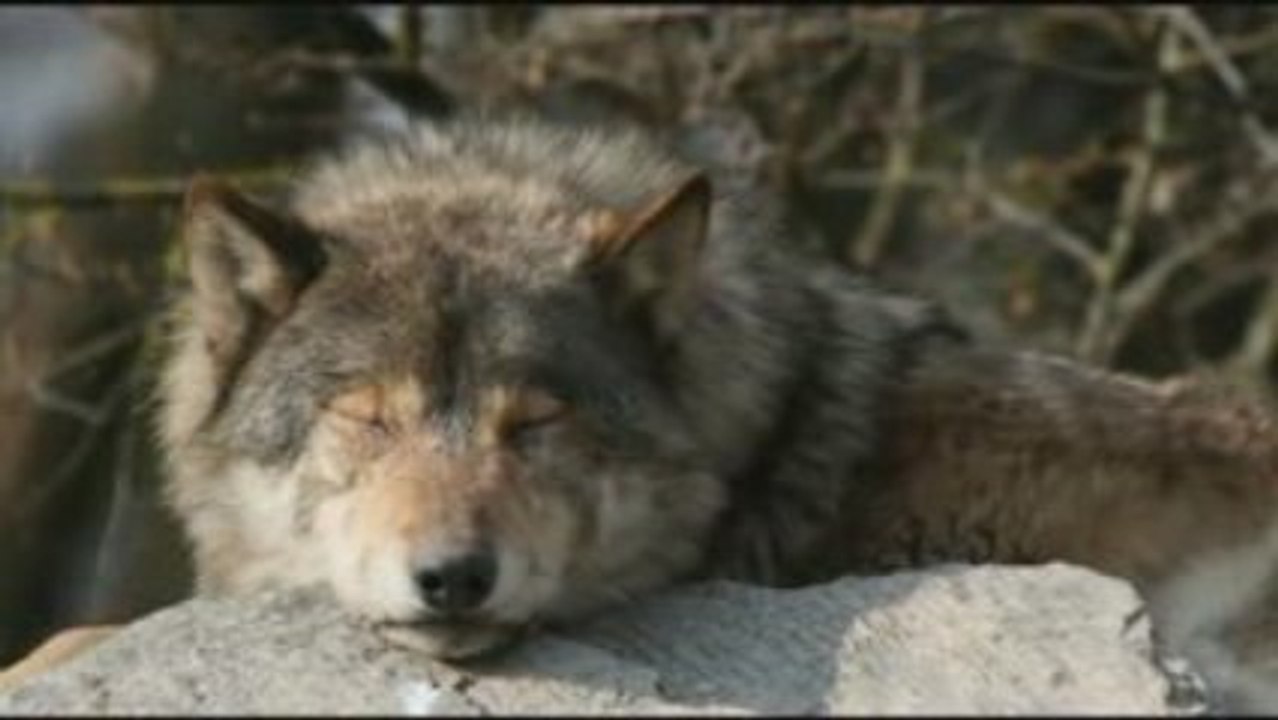 lift me from the ground