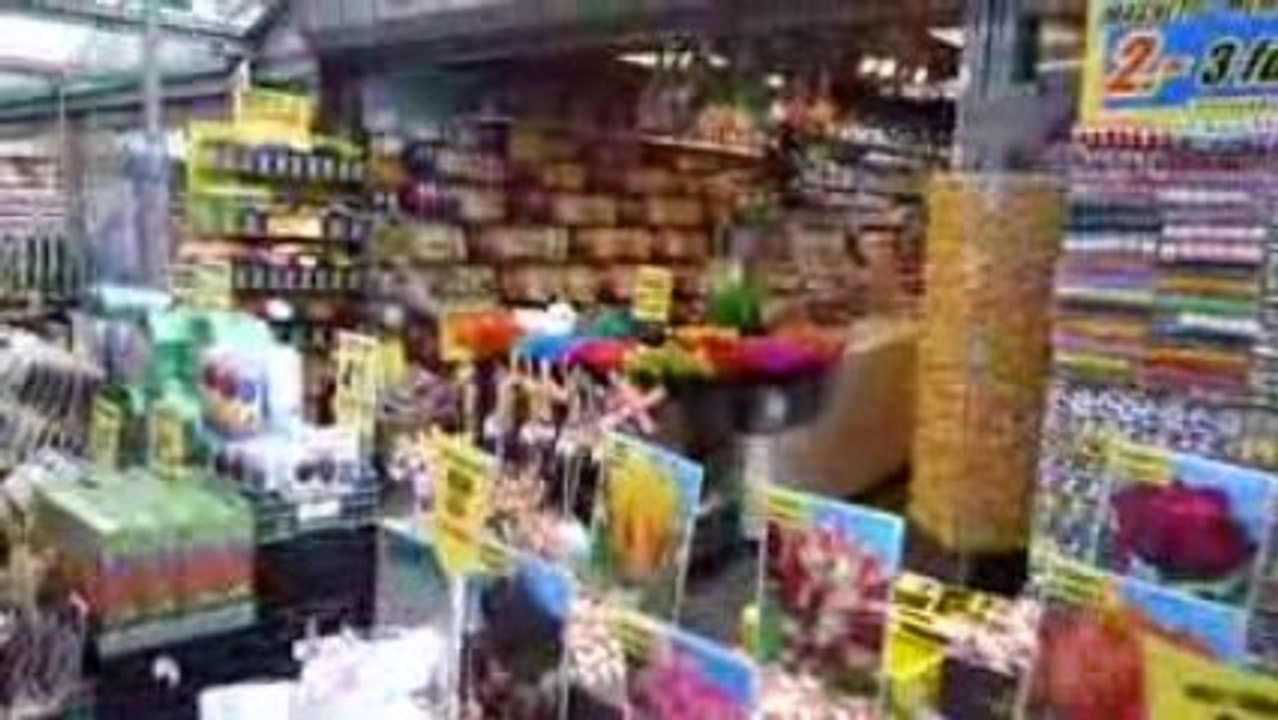 Mercado de tulipanes en Amsterdam (Amsterdam-7)