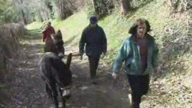 Notre ferme pédagogique - Randonner avec nos ânes