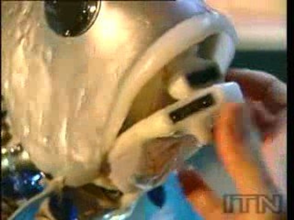 Robot Fish-Robot Balık