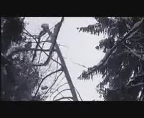 Silent stream of godless elegy-I would dance