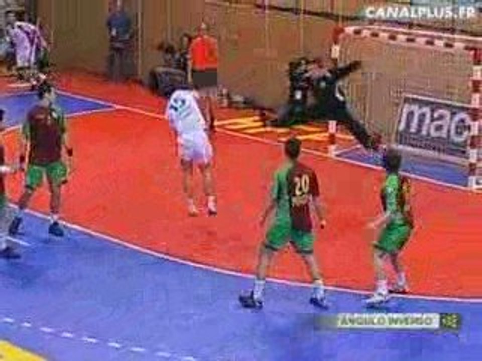 Qualif 2010 - France Portugal Résumé