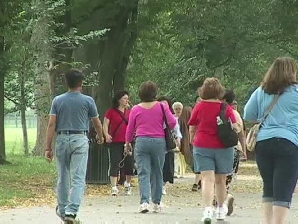 NARCA Washington DC Fall 2008 Collection Conference