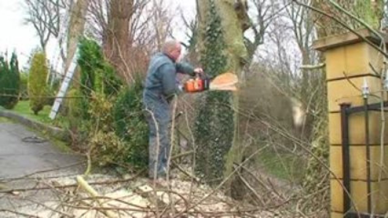 Exploitant forestier à Doudeauville dans le Pas de Calais 59