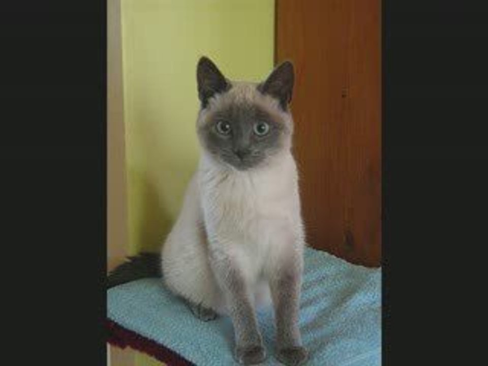 Louna
