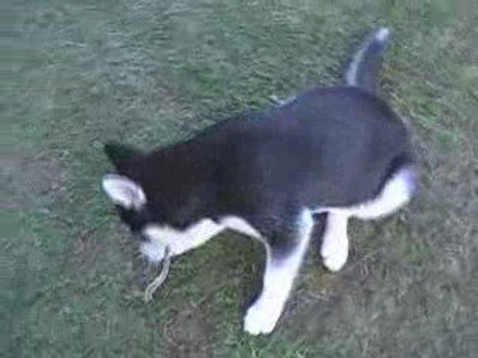 respiration a l'effort