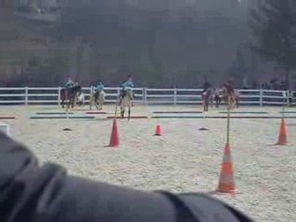 Début facteur le 22 mars 2009 pony games