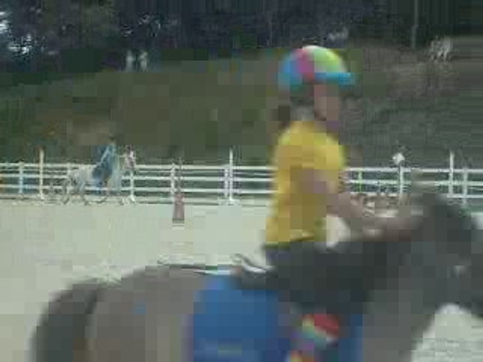 Slalom le 29 juin 2008 pony games