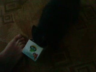 феня , жжет ))