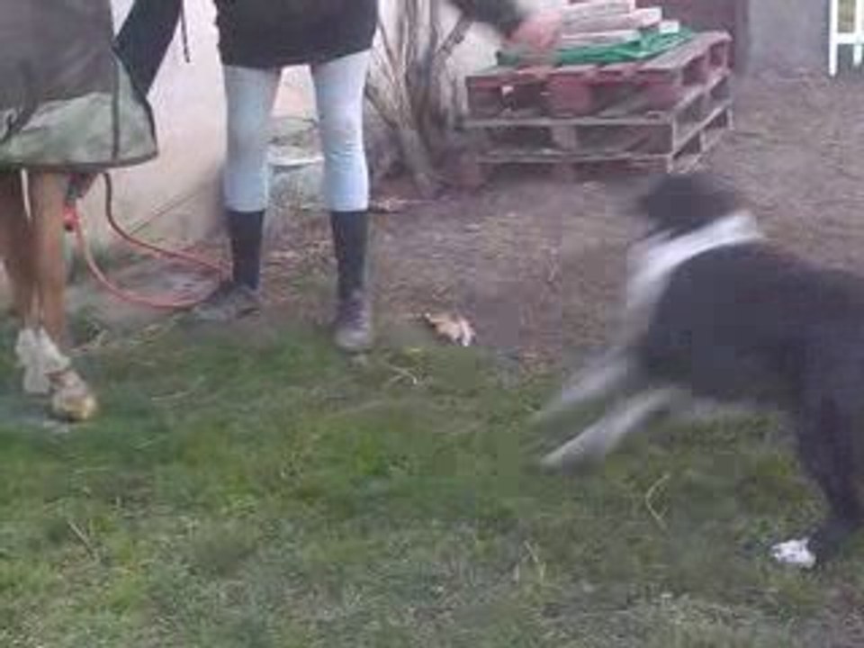 Oushka et le jet d eau