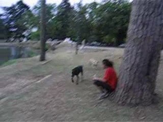 Yuka y Semilla en el Parque Saavedra - Ep.01