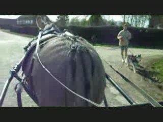 martin ballade 220309 2