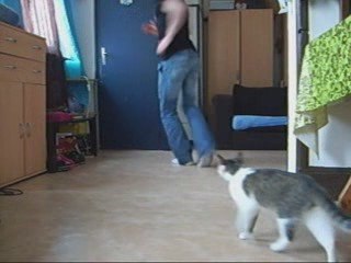 HARDJUMP STYLE by serial jumper