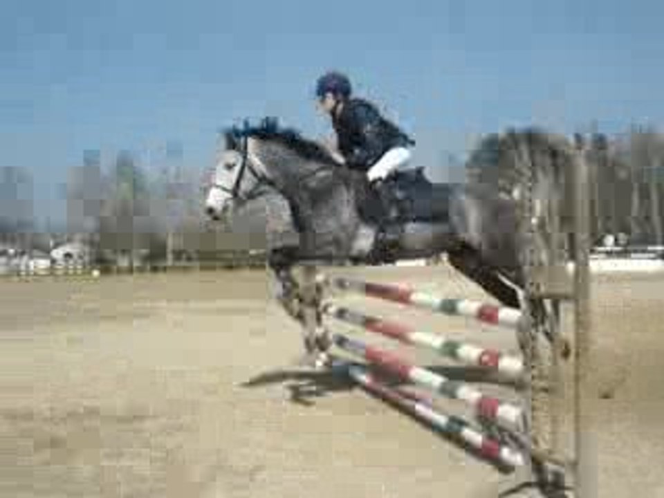 Chacha et okapi (L)