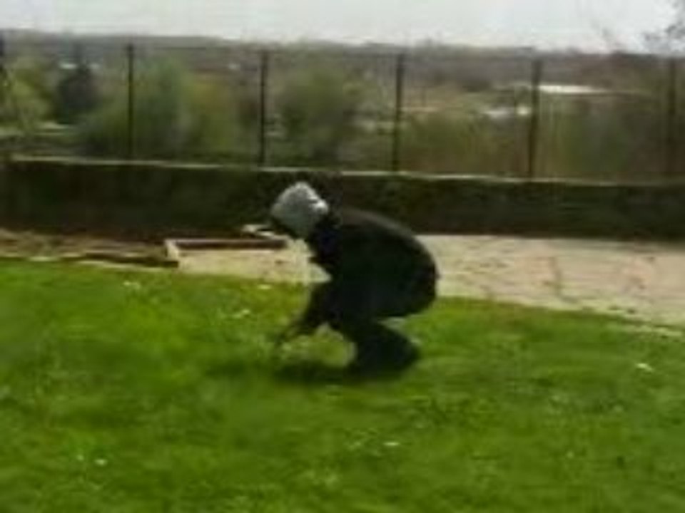 MOV00448