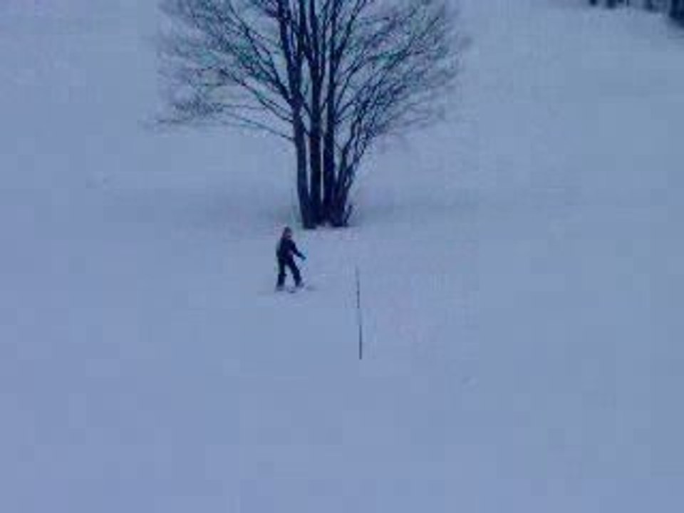 ski8