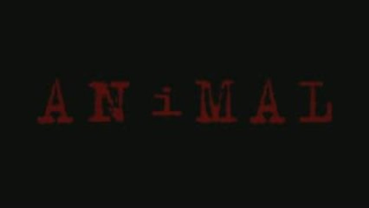 ANIMAL
