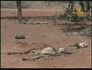 Kenya Drought Threatens Maasai Community