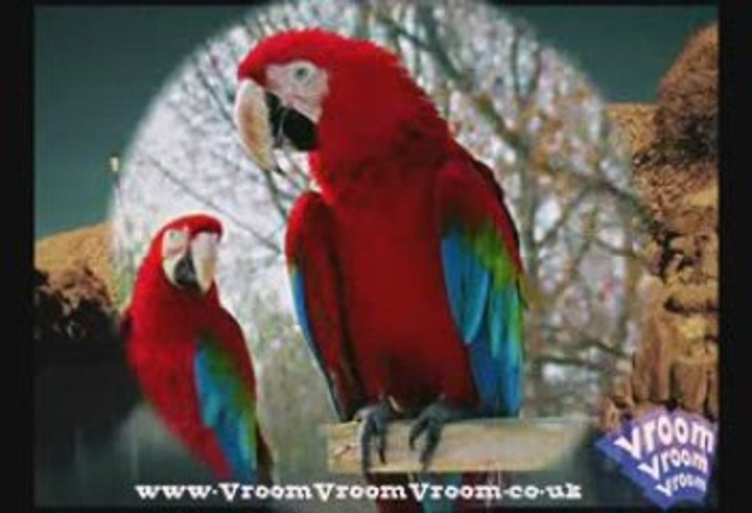 Blackpool City Places to Visit