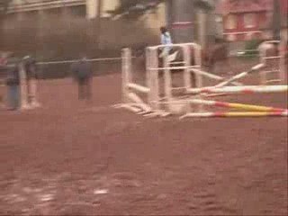 cour de Saut d'obstacle ... ♥