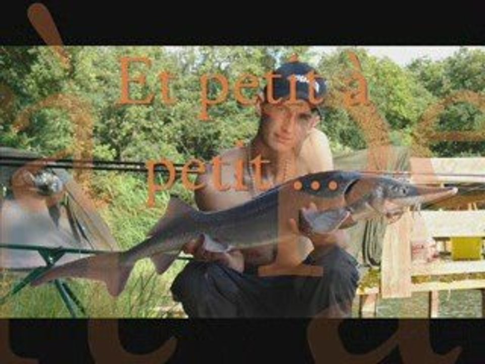 Carpes 2009