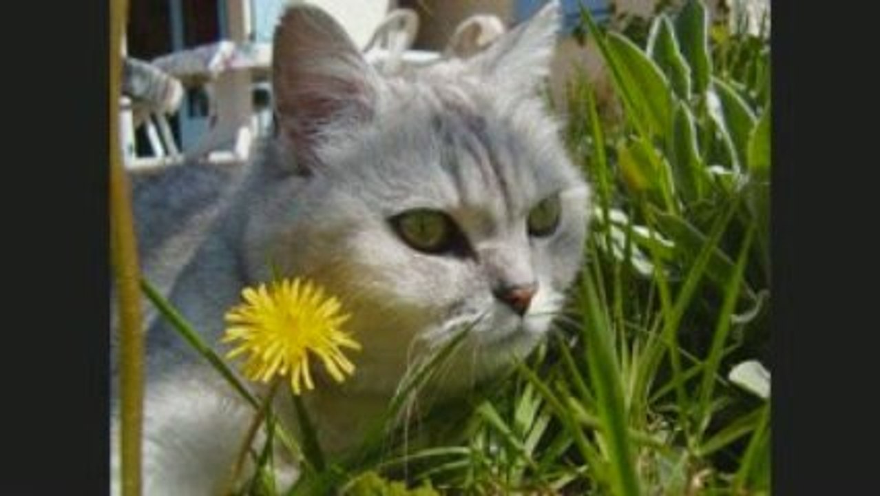 Mes photos les plus belles