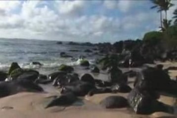 North Shore Hawaii High Speed