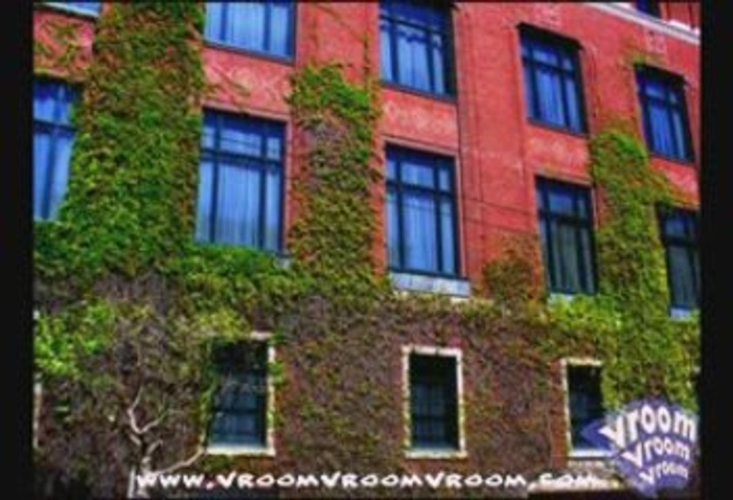 San Francisco City Attractions