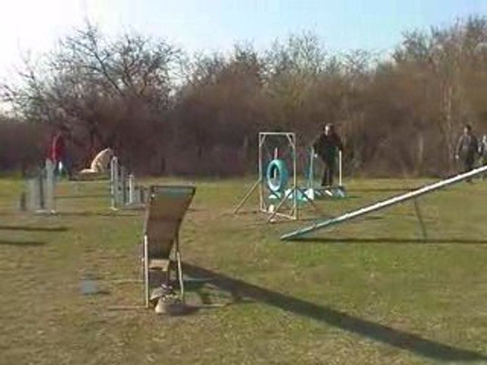 Salsa Open Agility Millery 22/03/2009