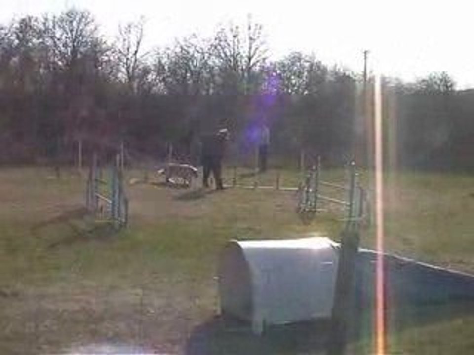 Salsa Jumping Agility Millery 22/03/2009