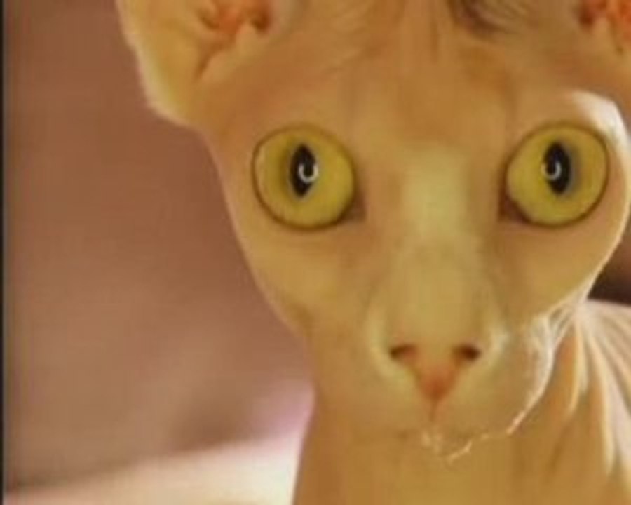 BIOTECHNOLOGIE, jusqu'où ira t on ? (attention aux dérives)