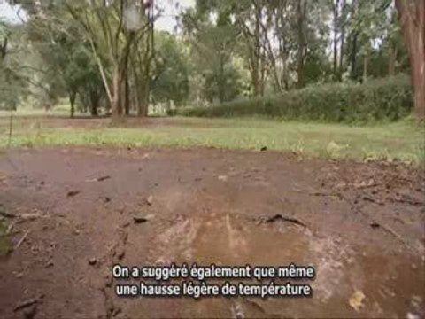 4/4Grande Arnaque du Réchauffement Climatique