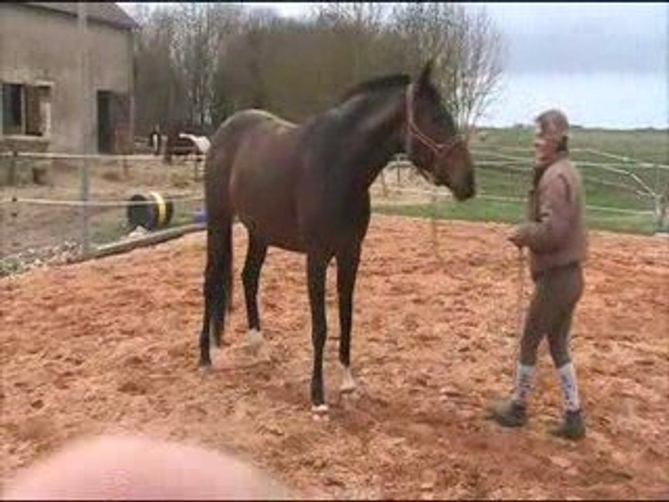 Galilee travail a pied