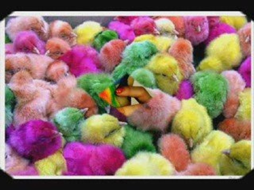 COLORES -  Kecharitomene -  Loreena McKennitt